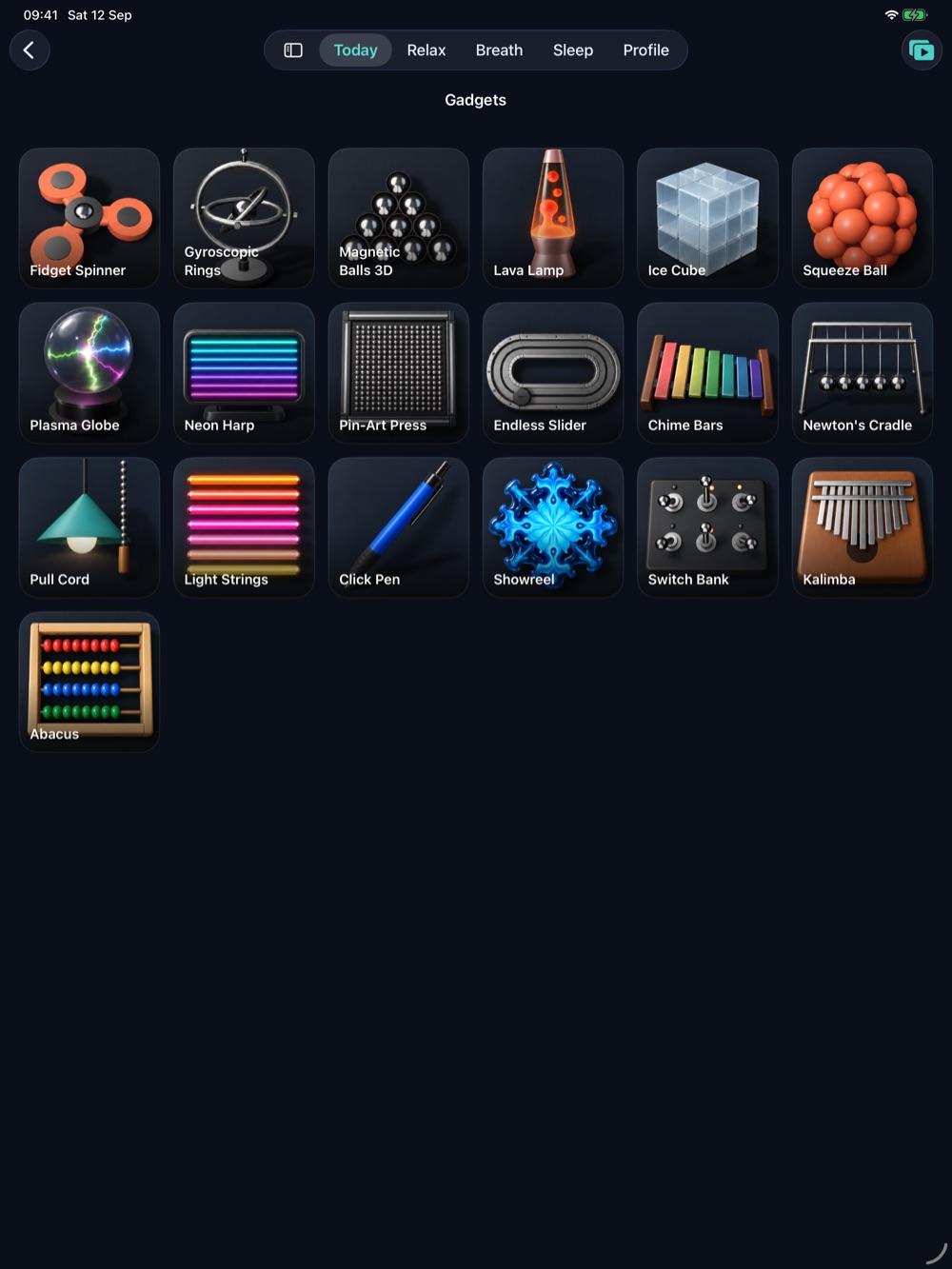 Gadgets on iPad